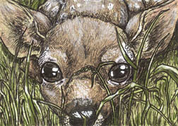 2016 January Monthly Contest 1st Place - Ainslee