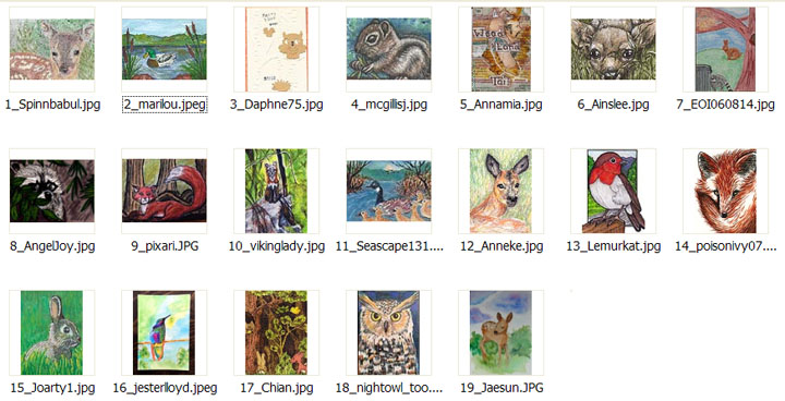 2016 January Monthly Contest Entrants