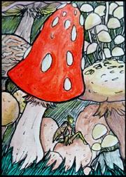 2016 May Monthly ATC Contest 2nd Place - redlionspride