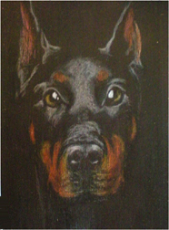 2017 April Monthly Contest Theme: Dogs - 1st Place- Lilly