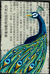 2017 August 1st Place - AmySi