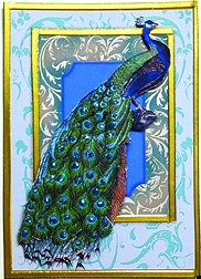 2017 August Contest 2nd Place - DonnaCR