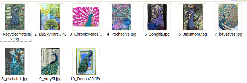 2017 August Contest Entrants
