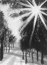 2017 January Monthly Contest2nd Place