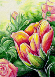 2017 May Monthly ATC Contest - 2nd Place