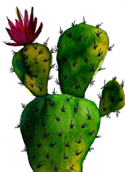 2017 October Monthly Contest 1st  Place