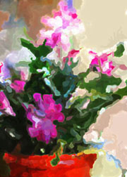 2017 October Monthly Contest 2nd Place