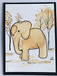 #23 Rooibus Elephant A