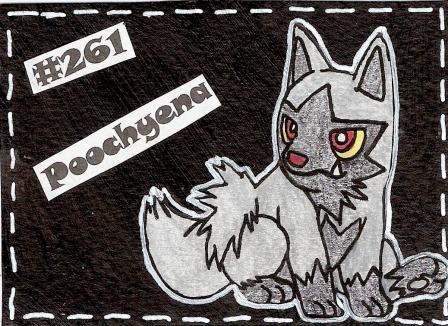#261 Poochyena