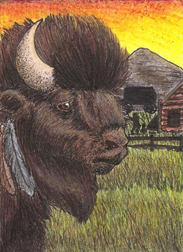 2nd Place June Contest - Theme: Sunsets