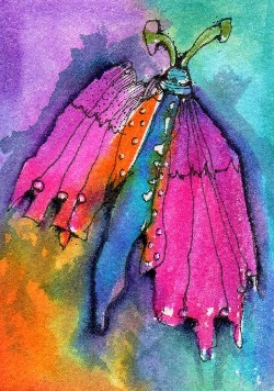 2nd Place Winner! April 2018