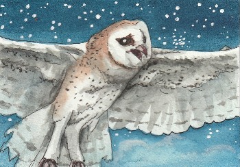 2nd Place Winner! May 2018