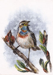 2nd Place Winner! Nov-Dec 2017 Monthly Contest