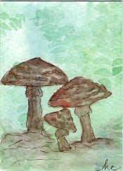 3 Brown mushrooms