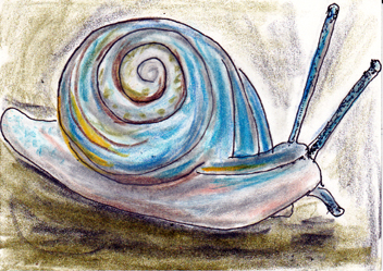 #33 - Snail