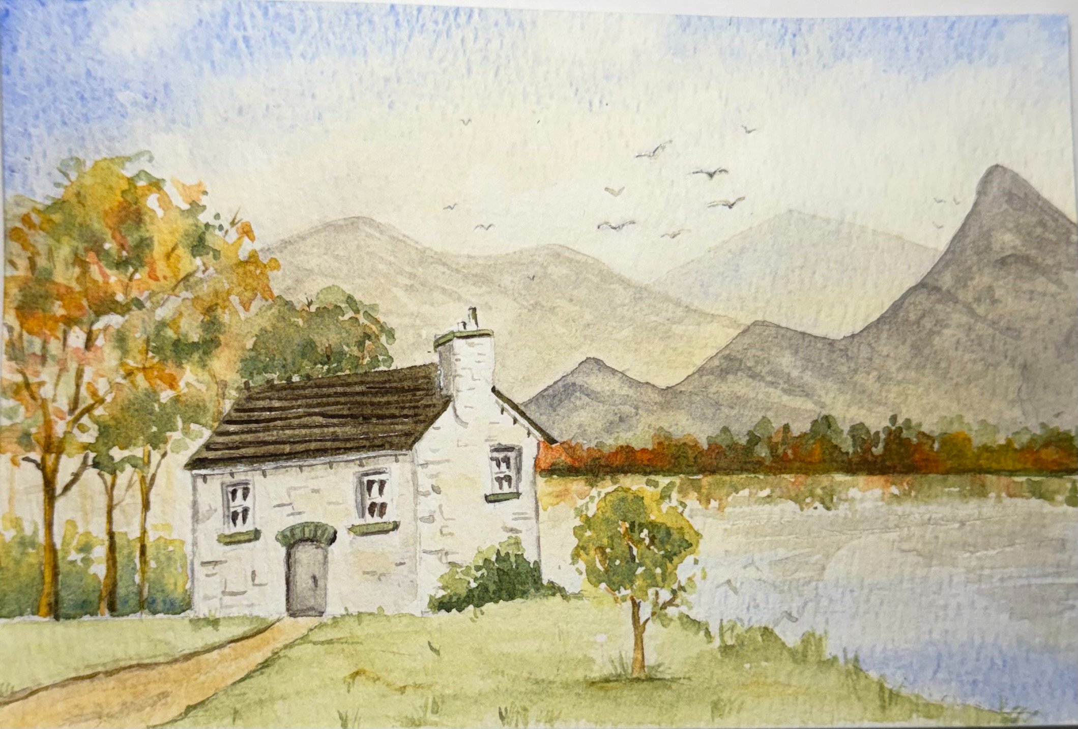 4x6 Fall Cottage for wildholly