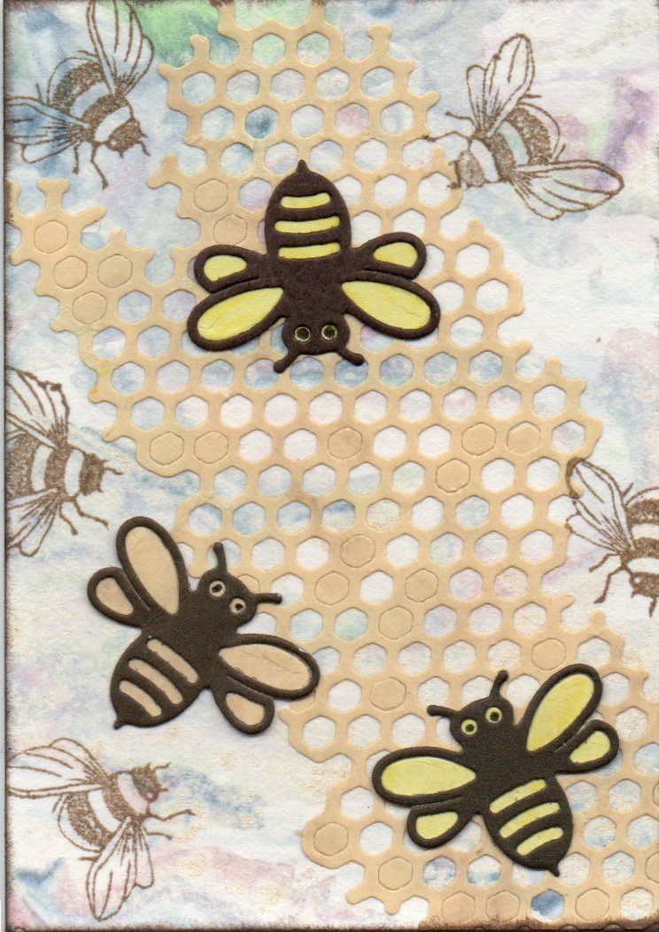 9th annual Save the Bees 2/4