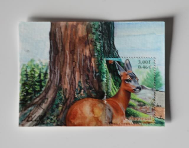 A little deer