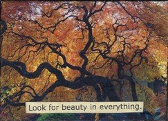 A New Perspective - beauty from the underside