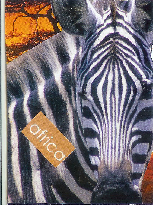 Africa - Zebra.
