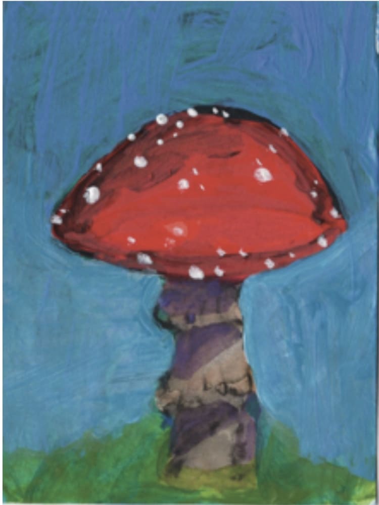 Amanita muscaria