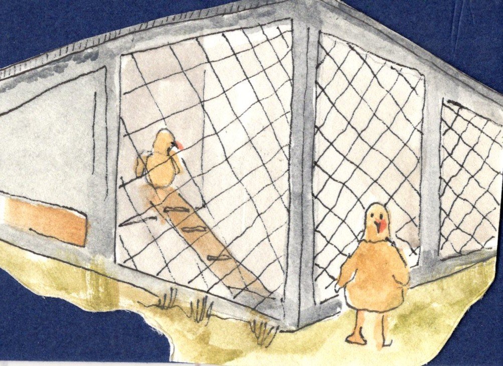 Animal House - Chicken Coop