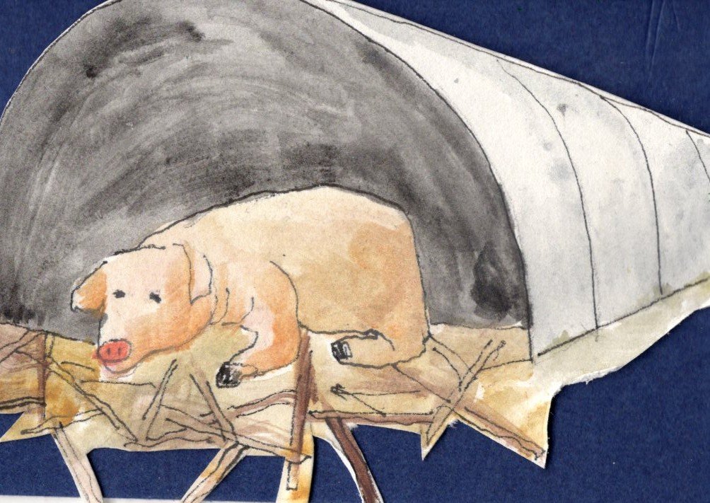 Animal House - Pig Sty