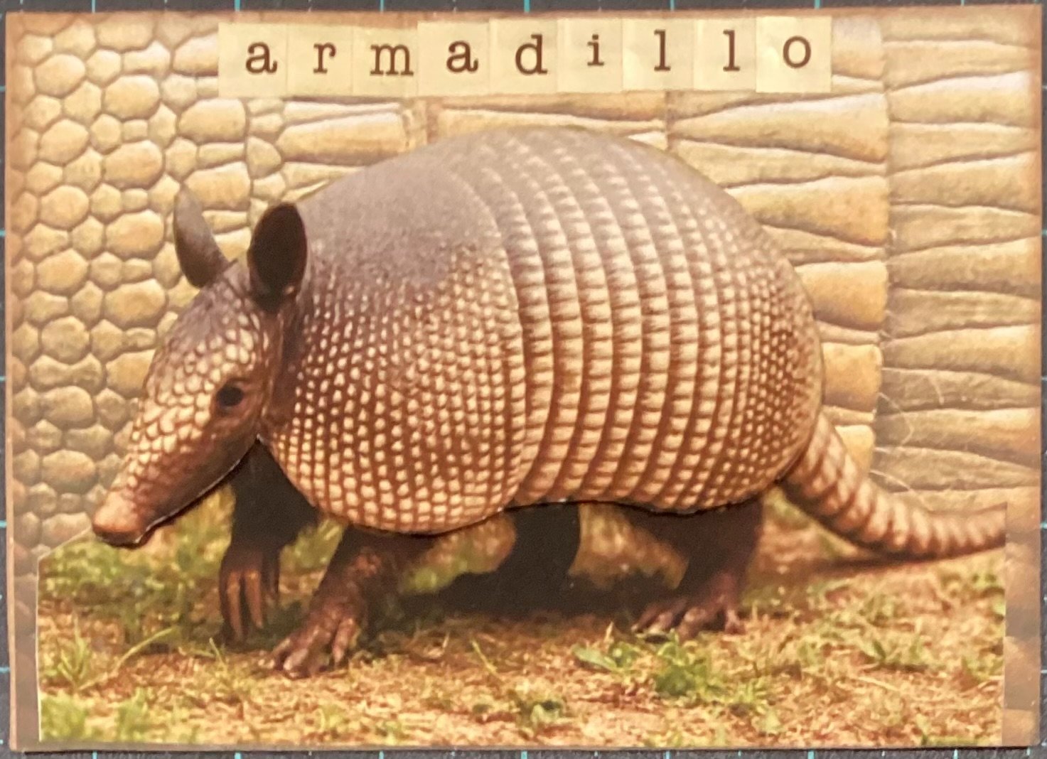 Animal parade - ABC 2/4