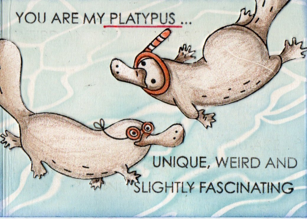 Animal parade - D, E, F 1/4