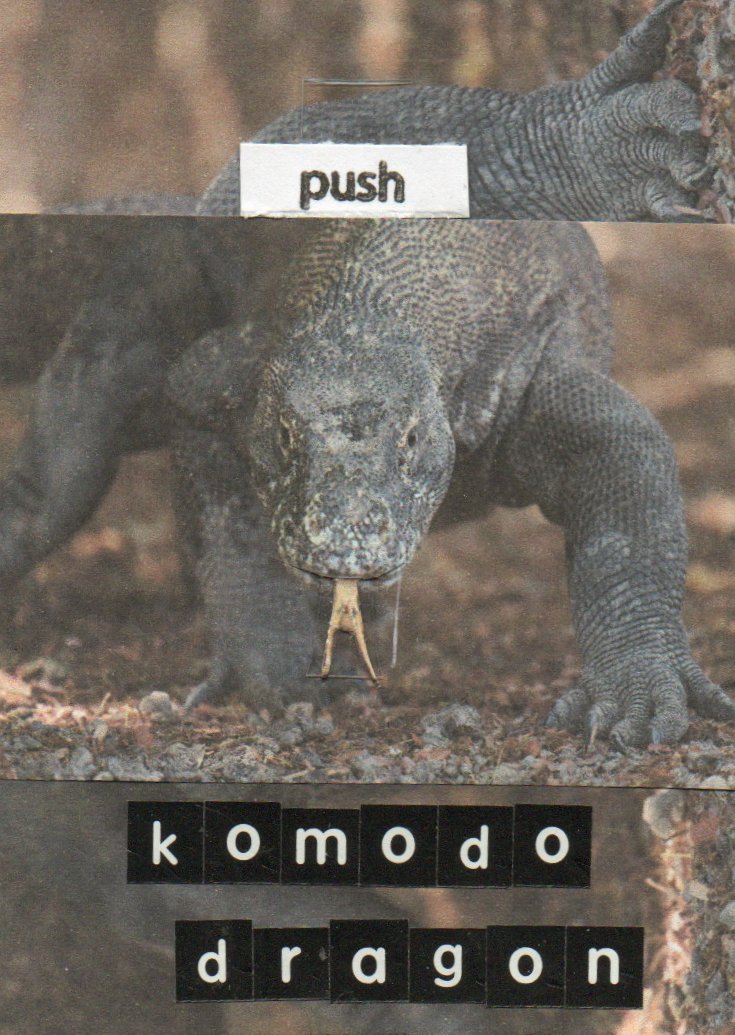 Animal parade - J, K, L 3/4