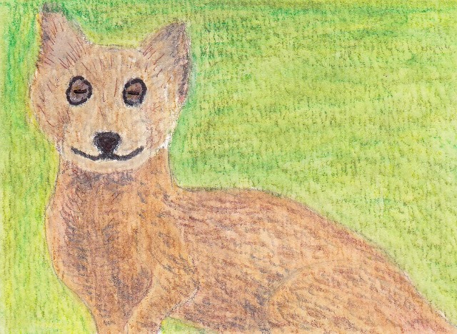 Animals of the Alphabet - Y