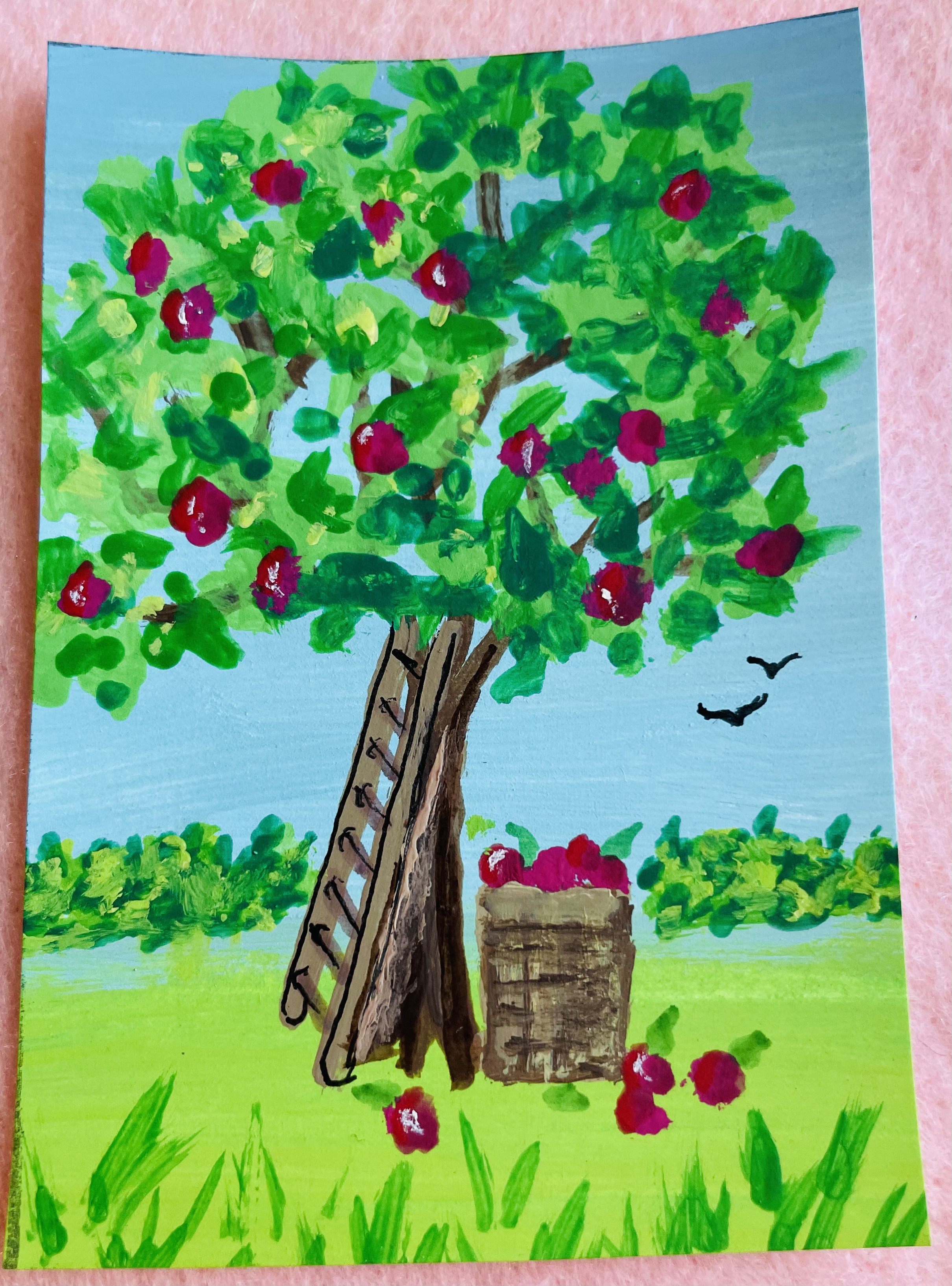 APPLE TREE