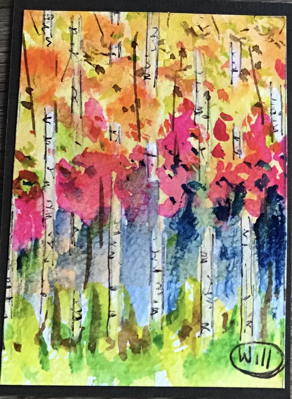 Aspen Trees #2