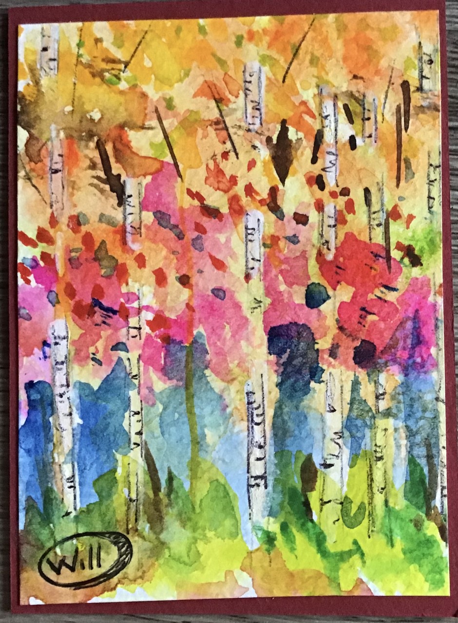 Aspen Trees #4