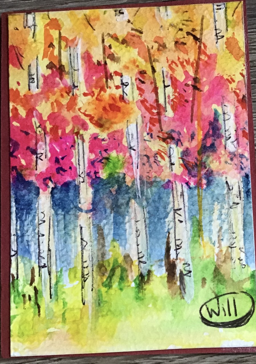 Aspen Trees #5