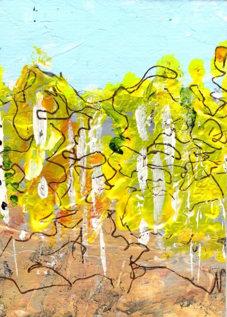 Aspens 5