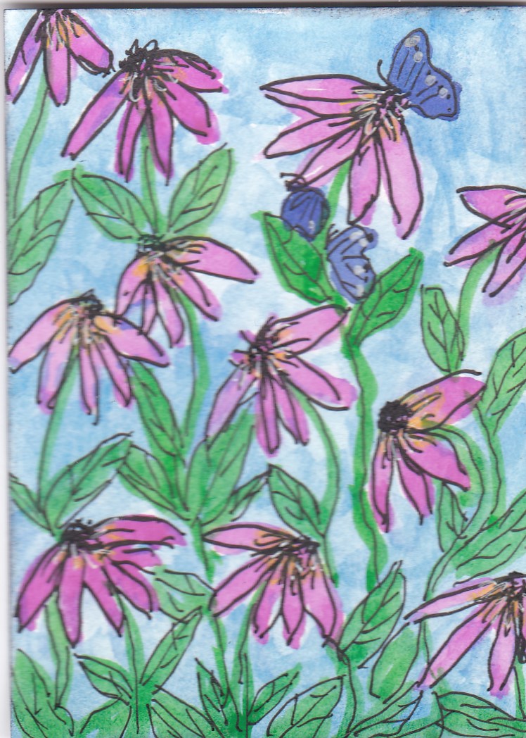 ATART 1 Pink echinacea