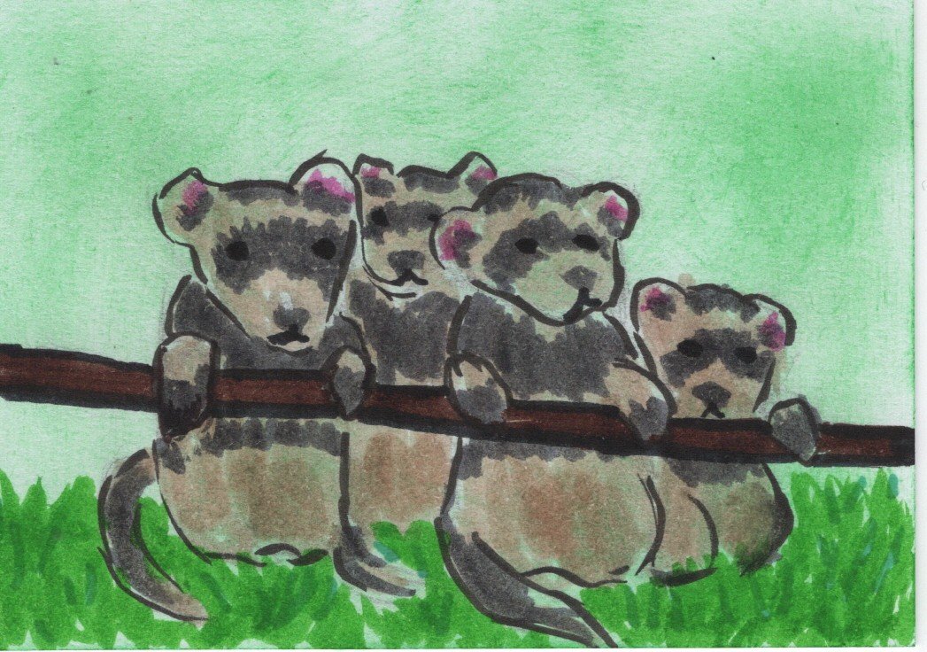 ATC 0119 The Business