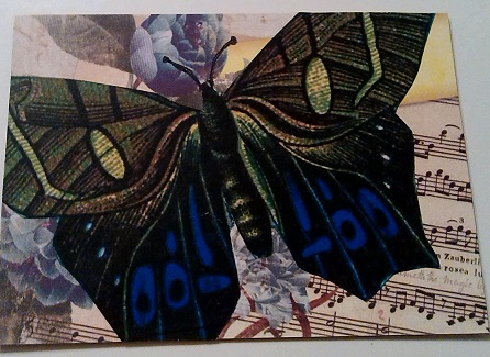 ATC ~ Green Moth~ Traded