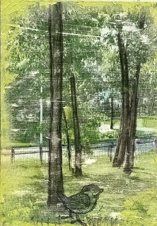 Backyard Trees
