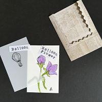 Balloon/Balloon Flower