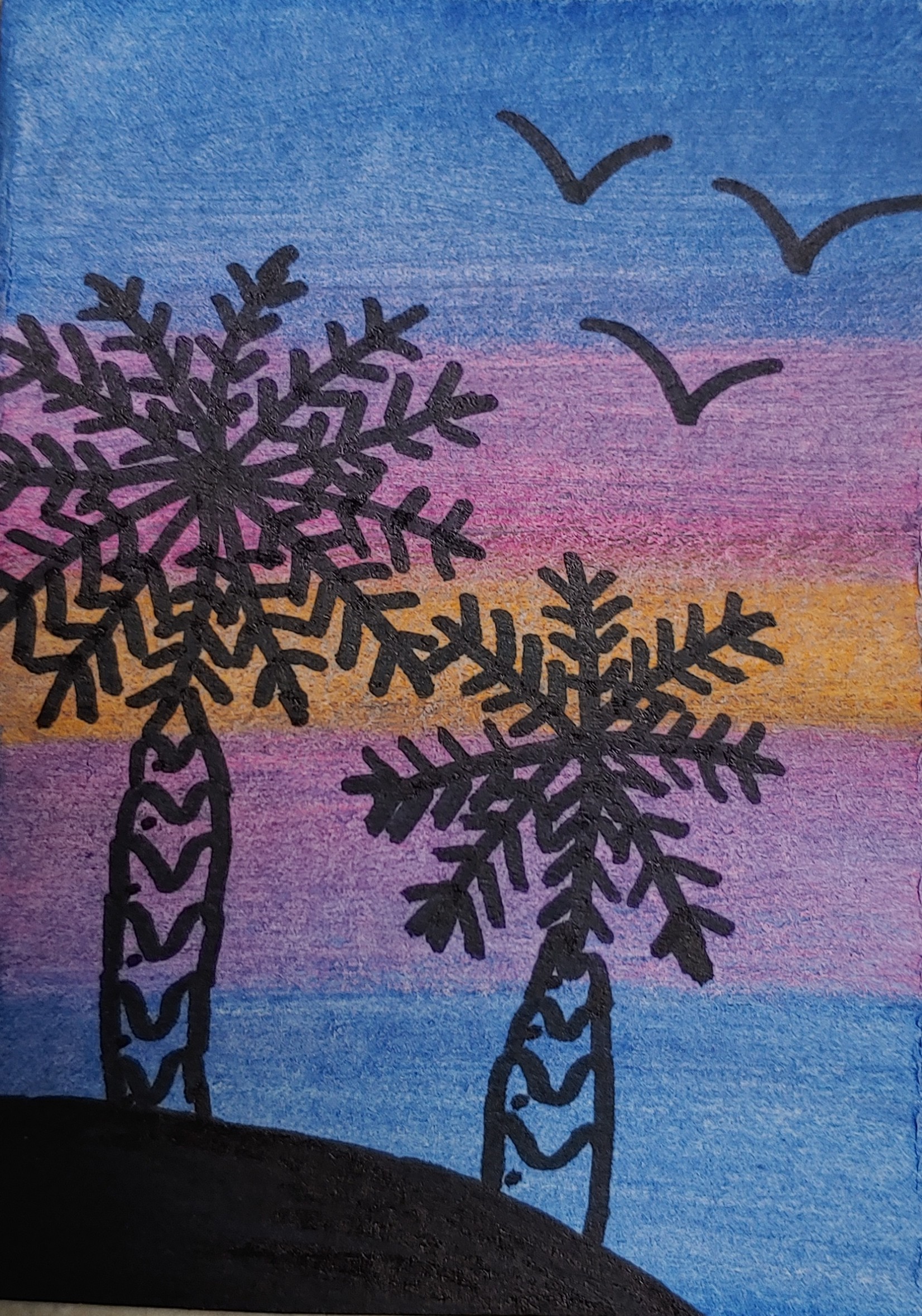 Beautiful Sunset Silhouette