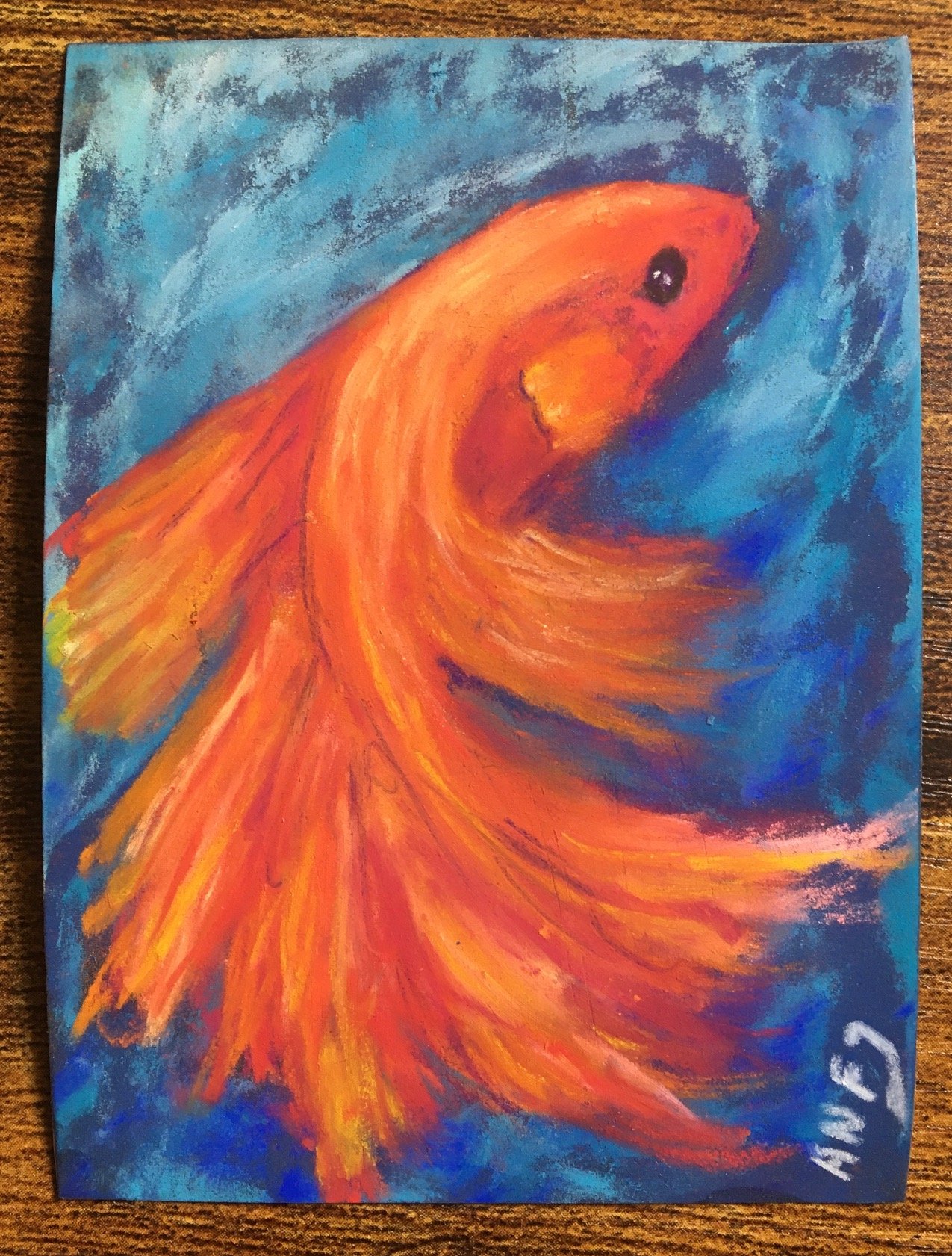 Betta Fish.jpg