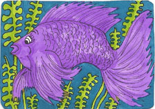 Bettas