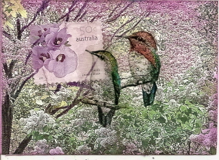 Birds in Australia
