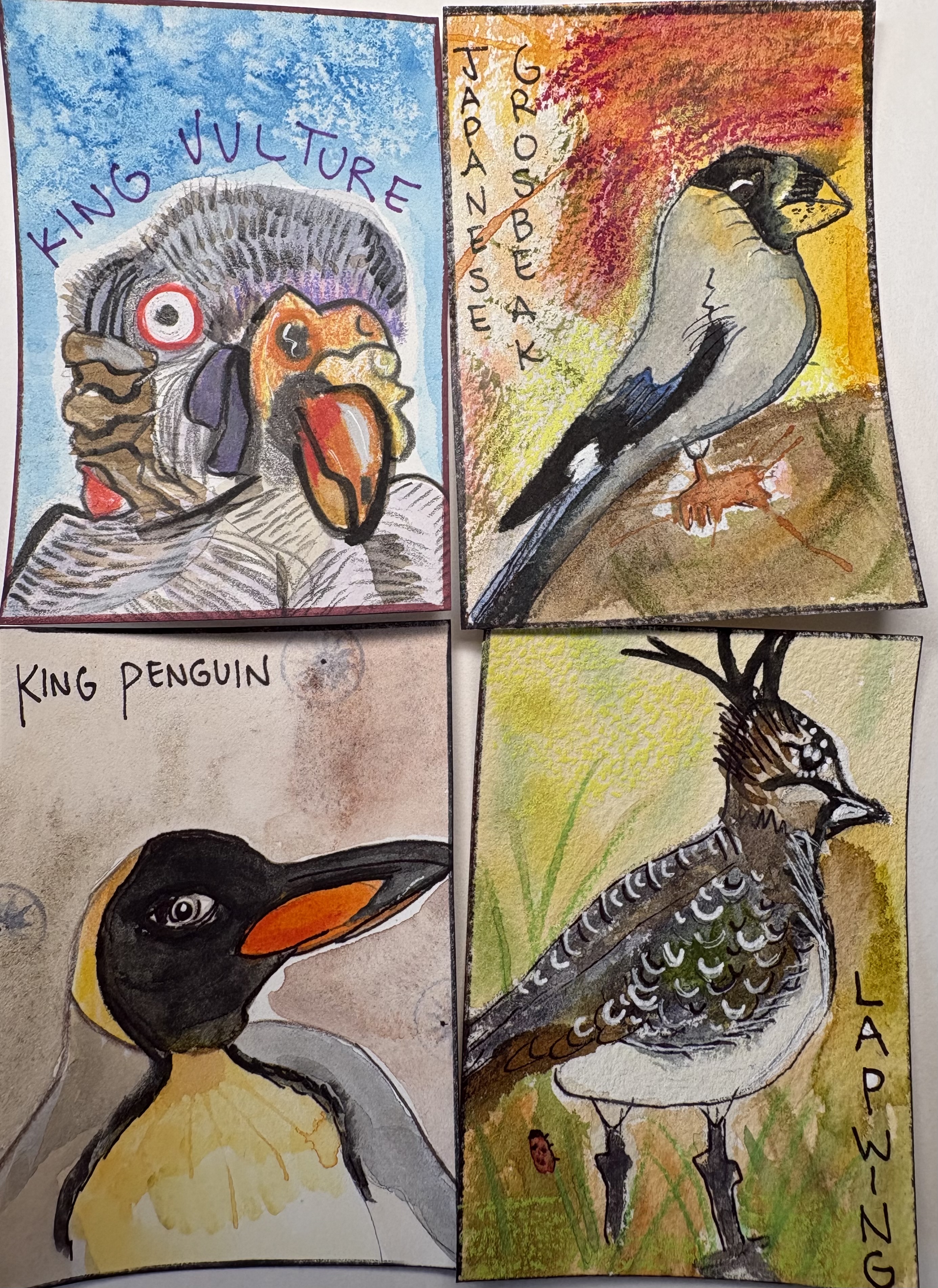 Birds in the Wilderness Swap