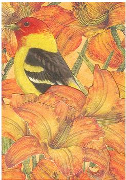 Birds Made for Paperscraps Beautiful Bird Swap