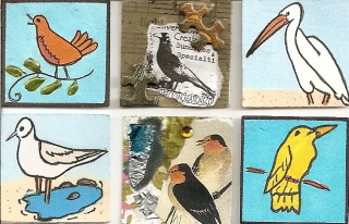 Birds- traded