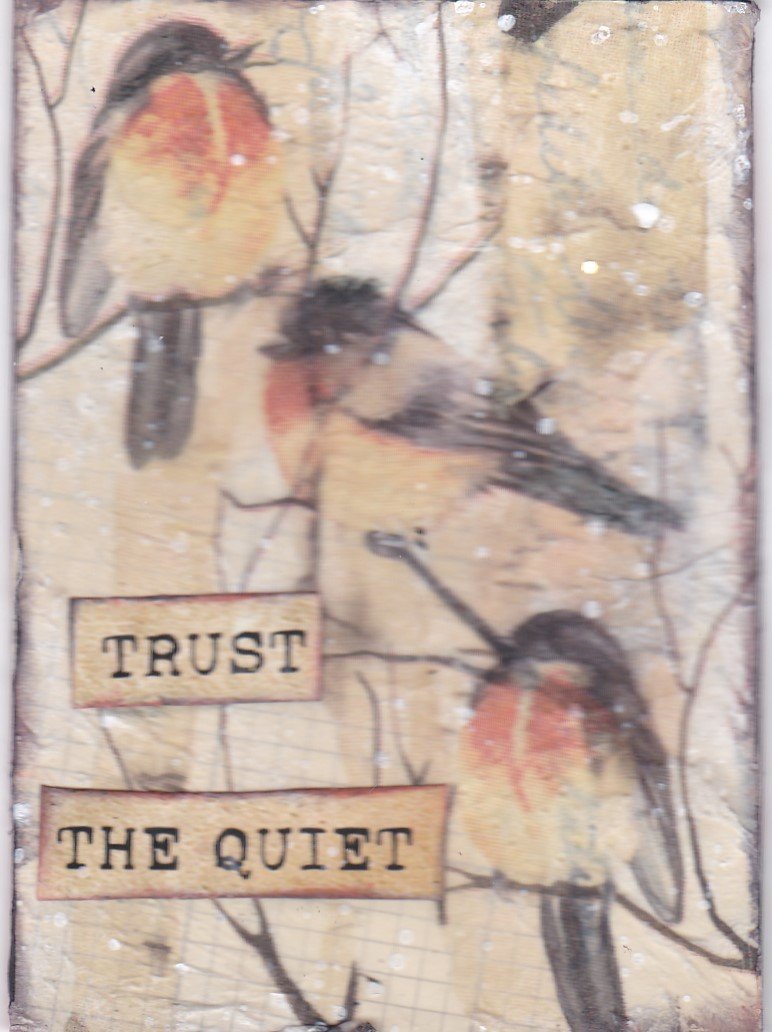 Birds Trust the Quiet.jpg