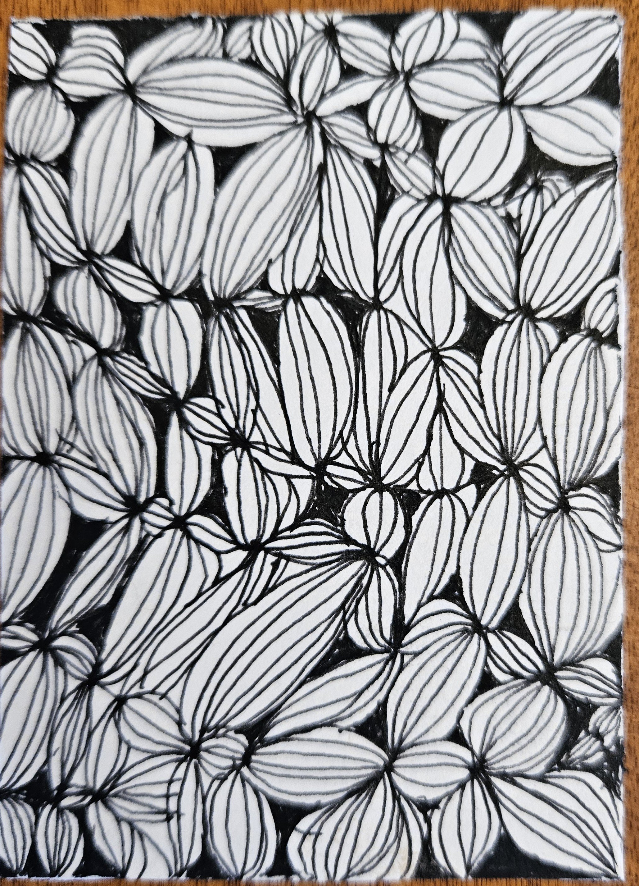 Black and White 1 2025